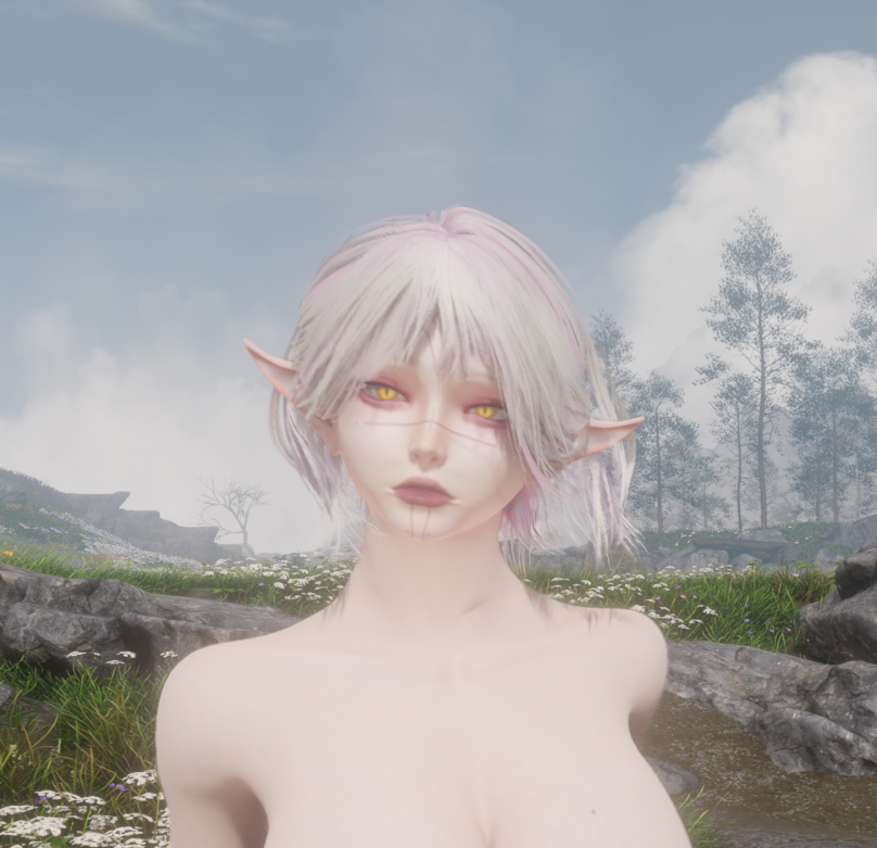 UBE所有前置与本体（包含捏脸和龙娘百分百还原）